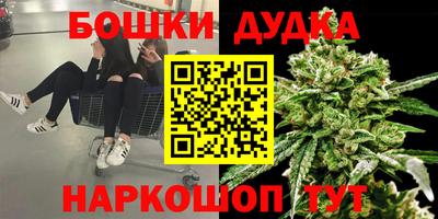 гидра Балахна